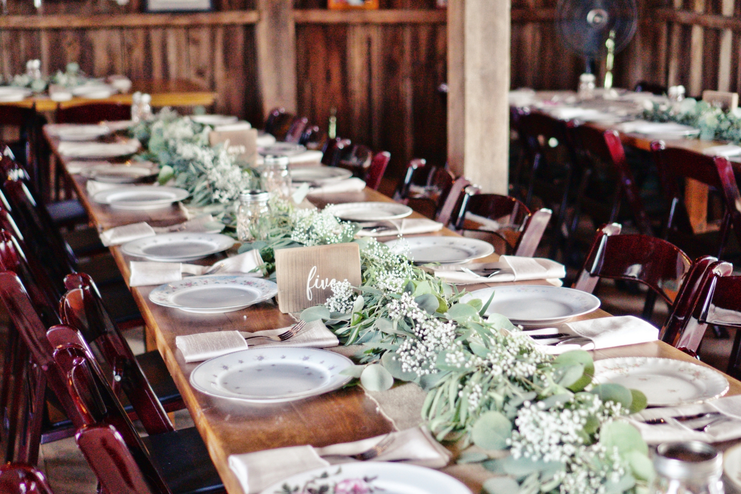 DSC01286-AFR 1500.JPG