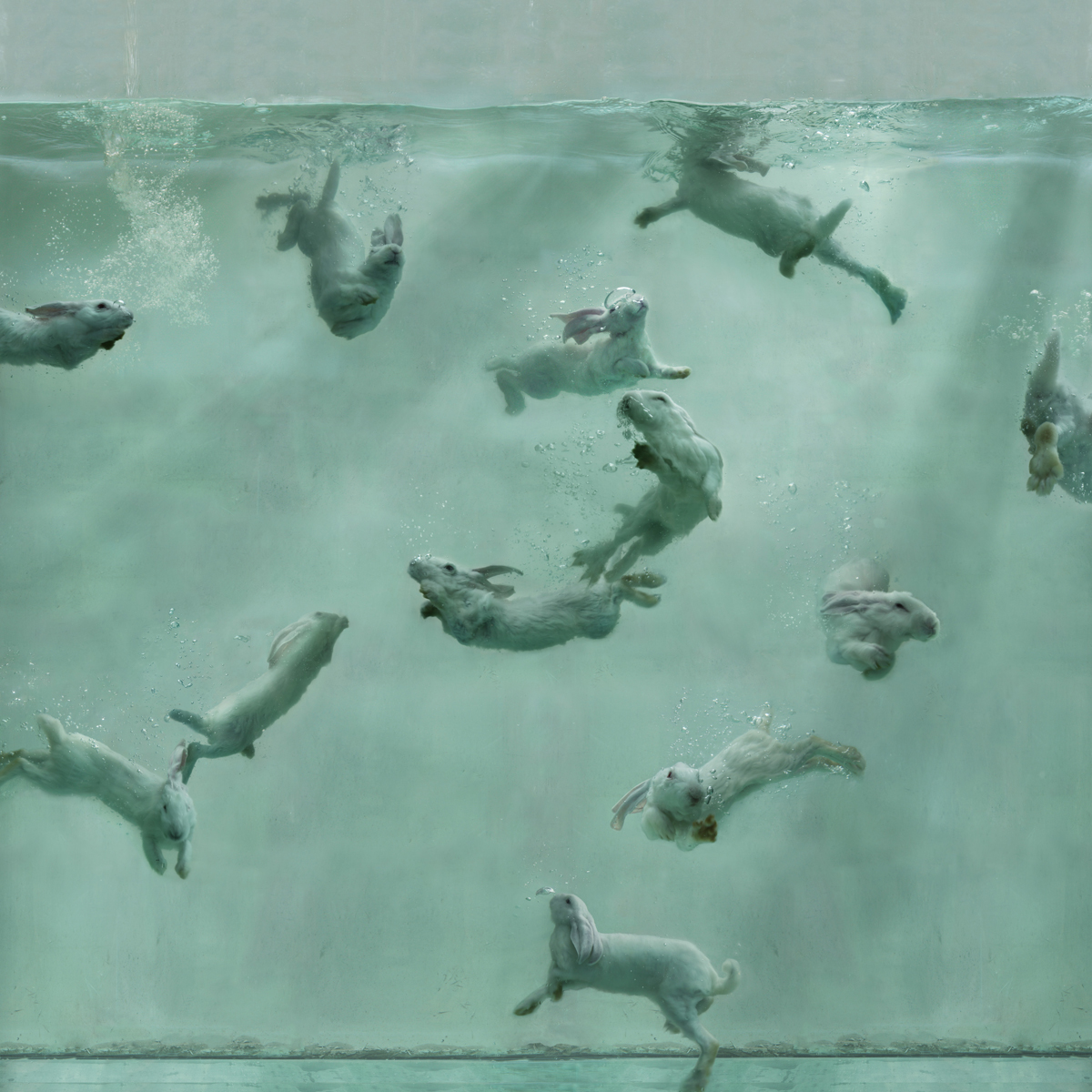 AQUARIUM 23