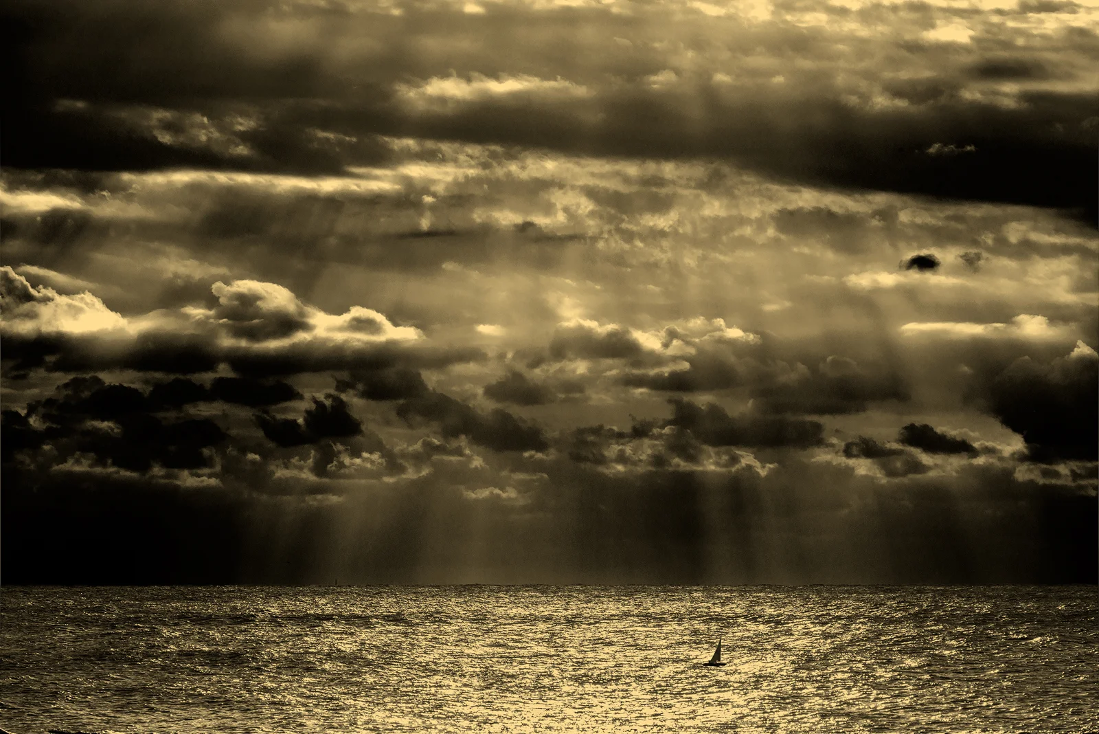 SEE MONTAUK 1