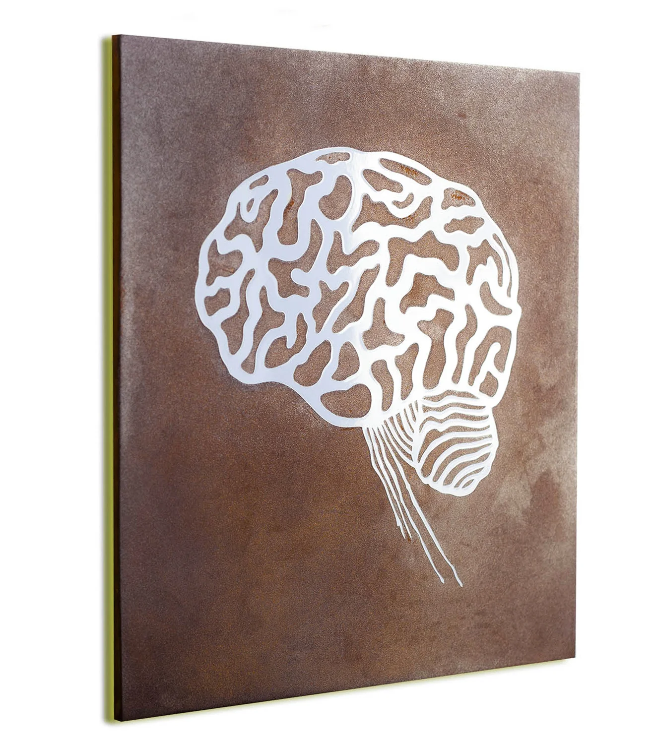 BRAIN - coral