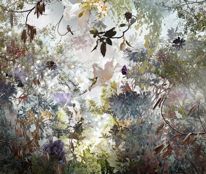ORNATUS (2012)