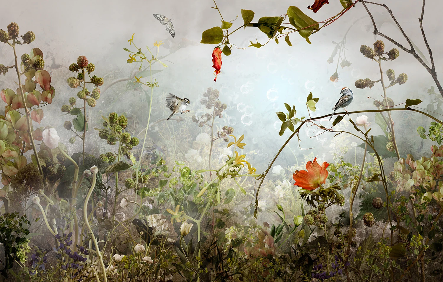 SANCTUM (2011)