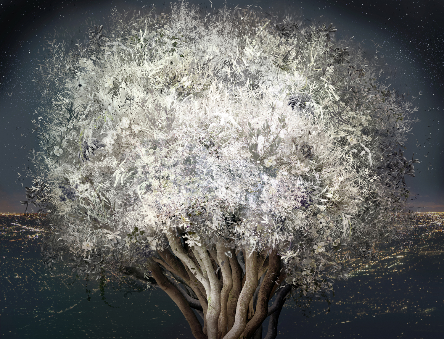 STILLNESS (2012)
