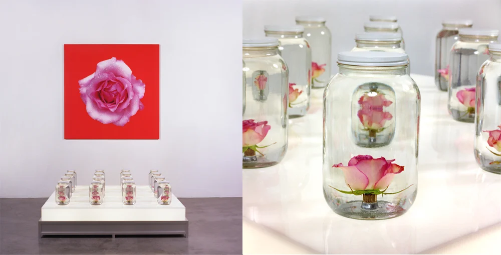 ICONOSM, Christophe Laudamiel and Laurent Elie Badessi Photography & Installations with scent.