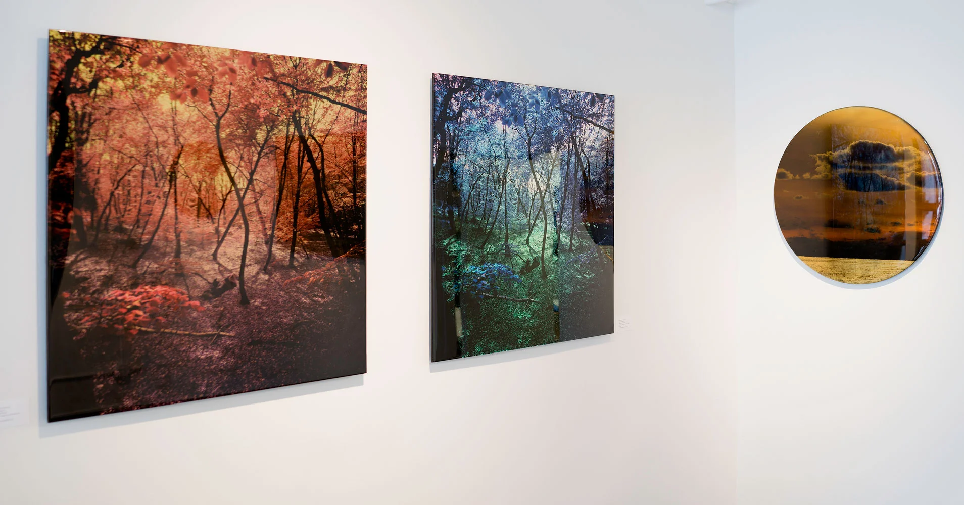  gallery 3 (Wonderland series) 