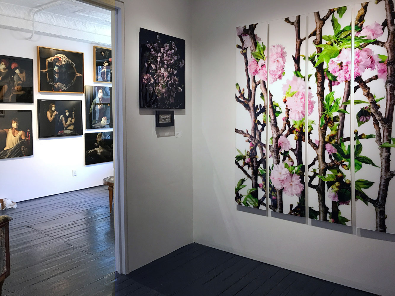  gallery 1 (Cut and Uncut series) and gallery 2 (Icons series) 