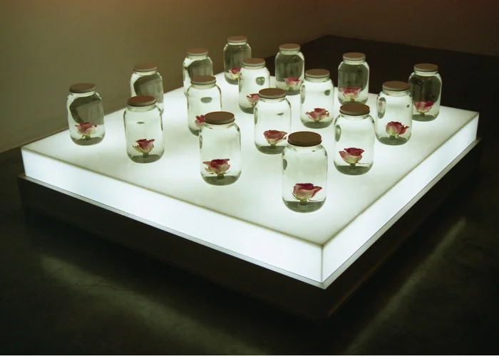  ICONOSM, Christophe Laudamiel and Laurent Elie Badessi  Photography &amp; Installations with scent.   