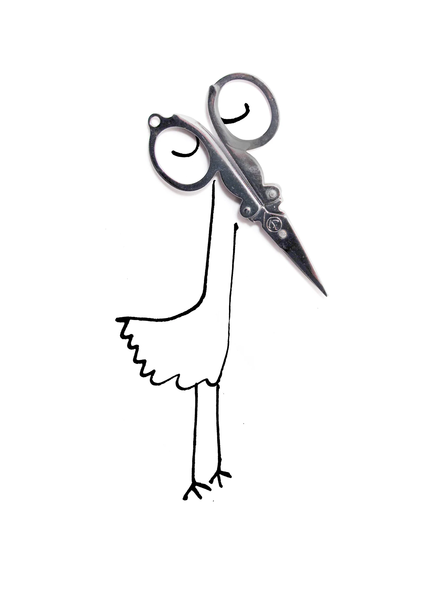Coiseaux