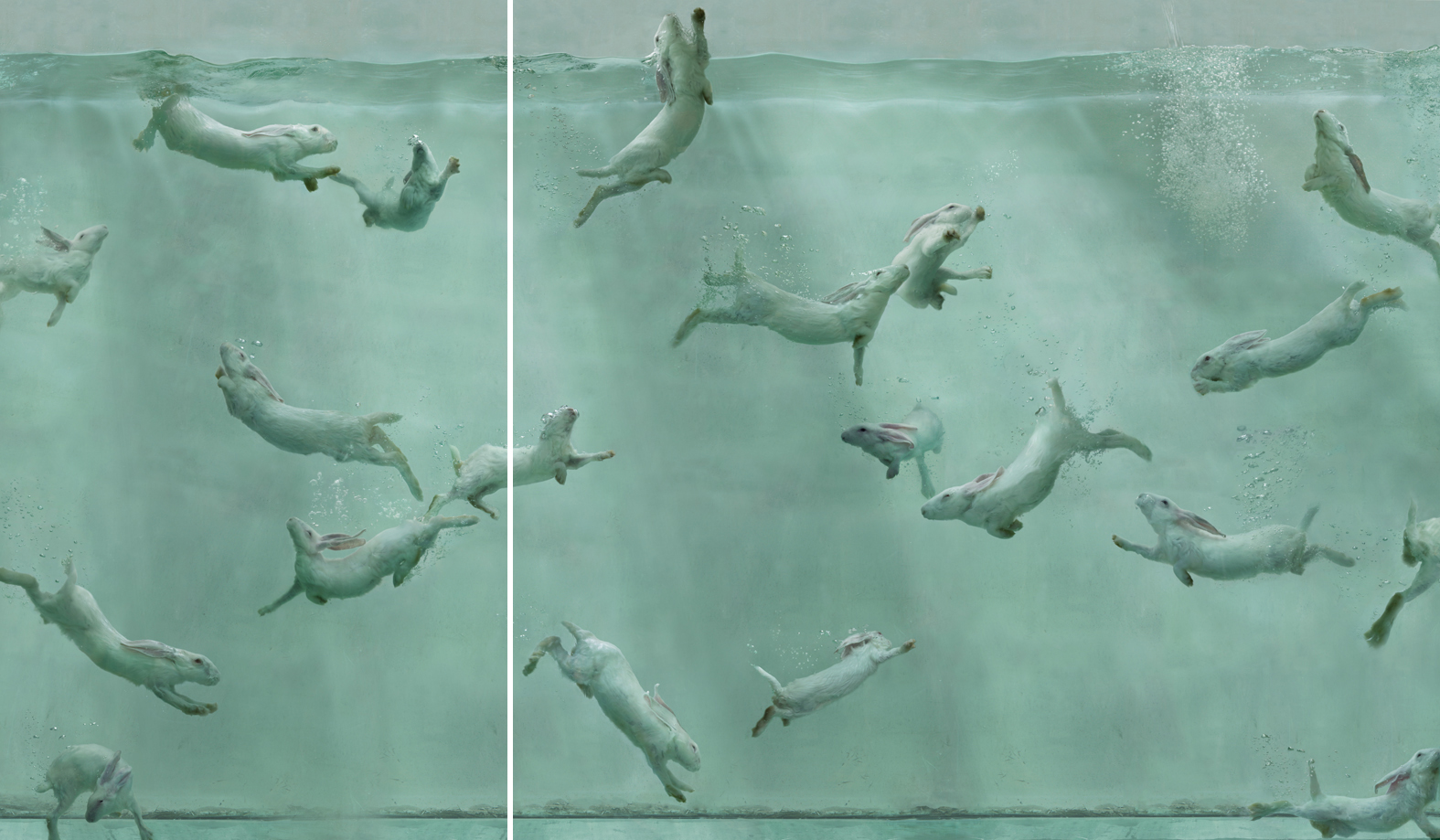  Aquarium 26-b, Zhou Hongbin    