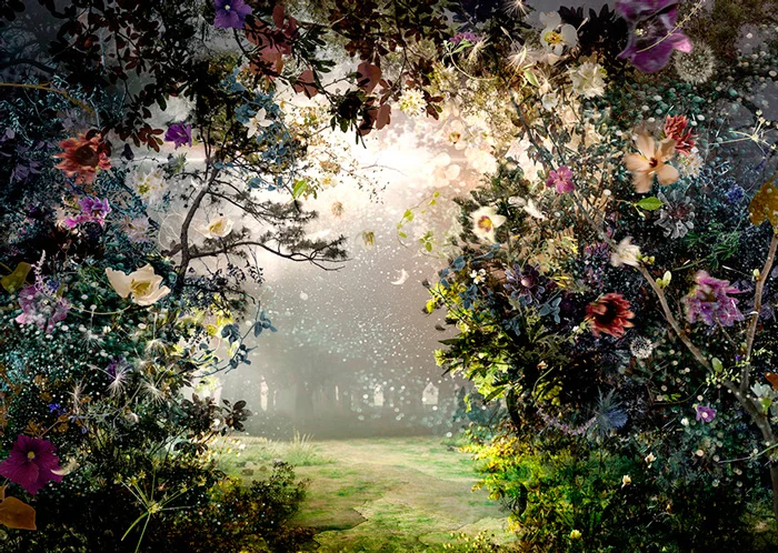 PRELUDE (2014)