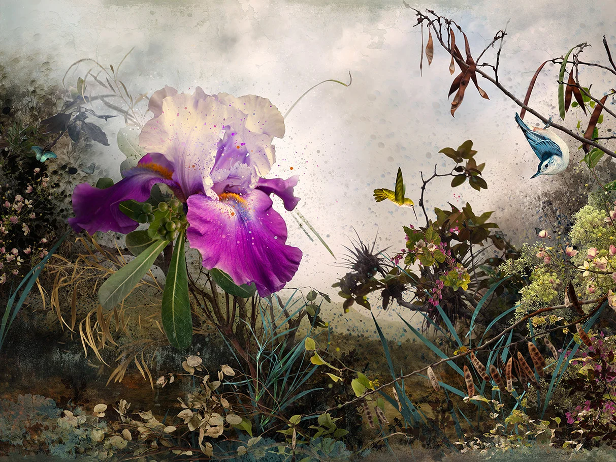 VENUS (2013)