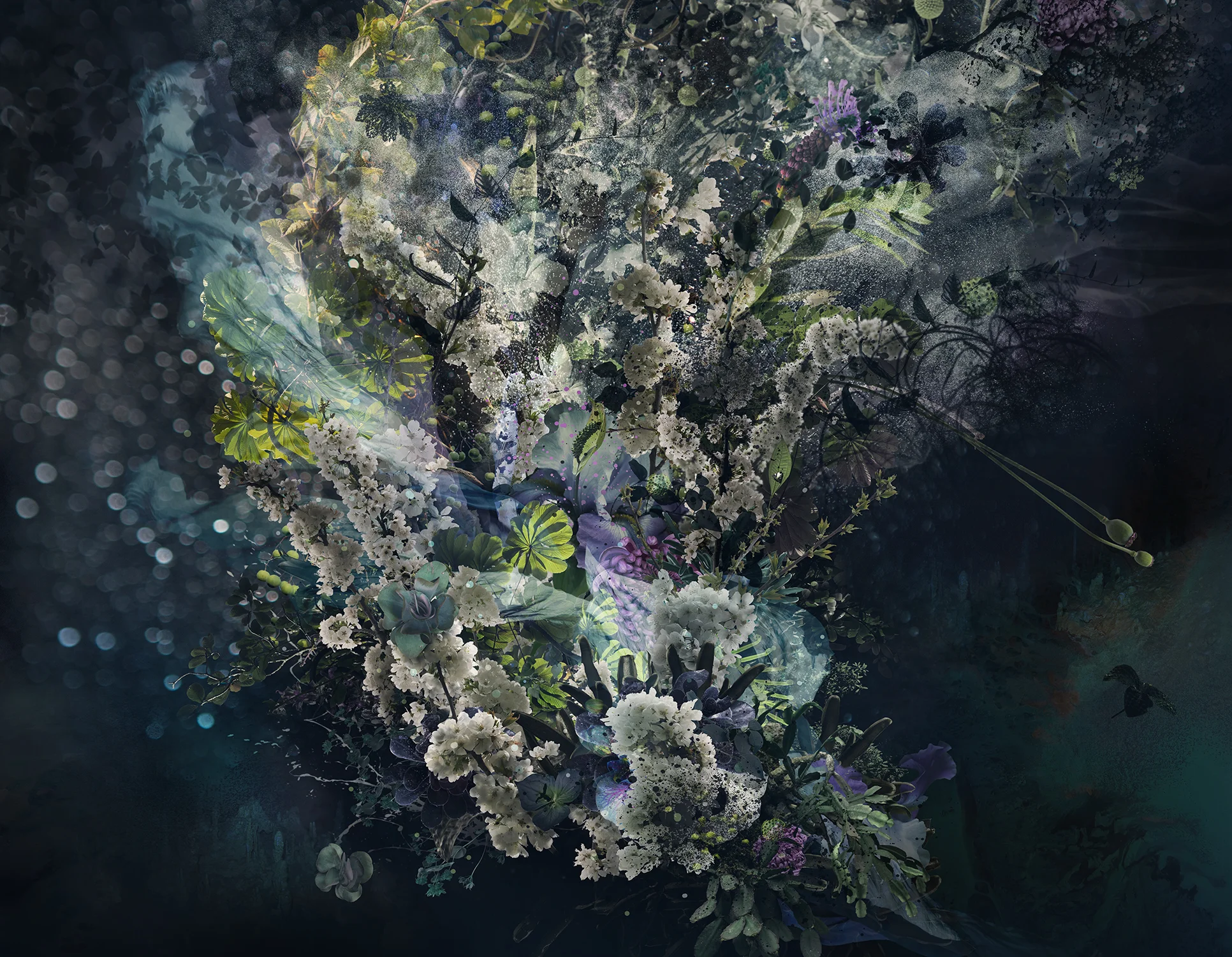 ASTRAL (2017)