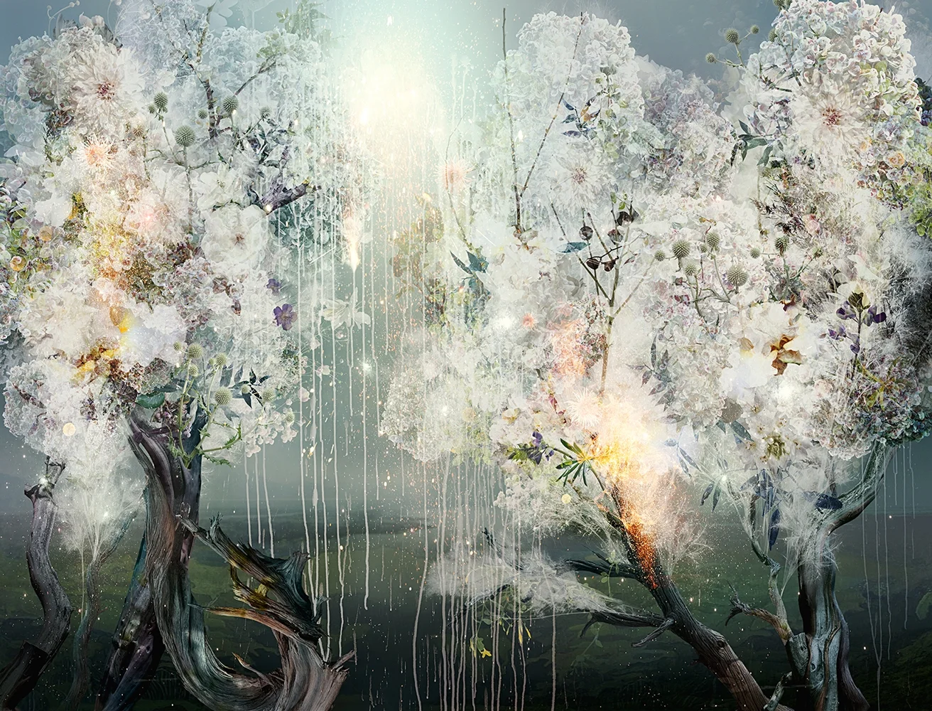 COSMIC NURSERY (2014)