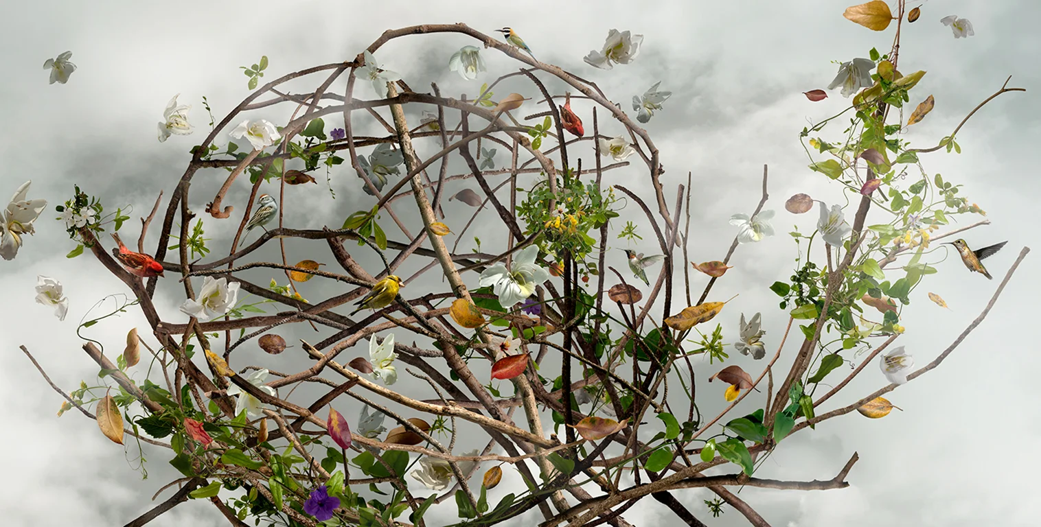 WONDERMENT (2010)