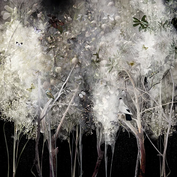 ILLUMINATED (2011)