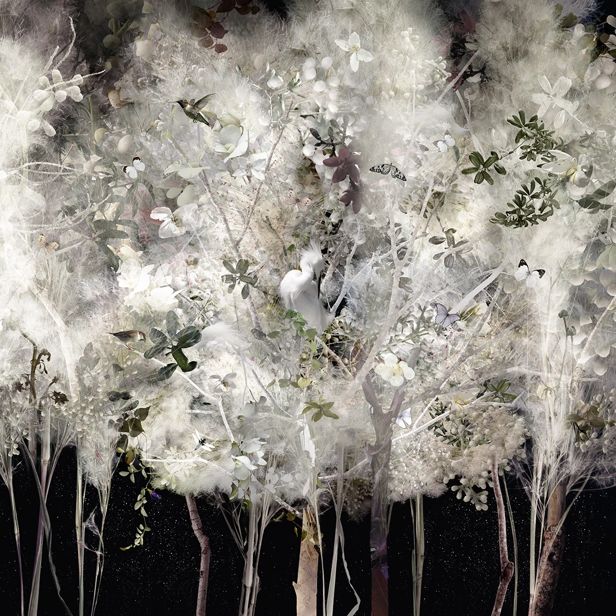 ILLUMINATED II (2011)