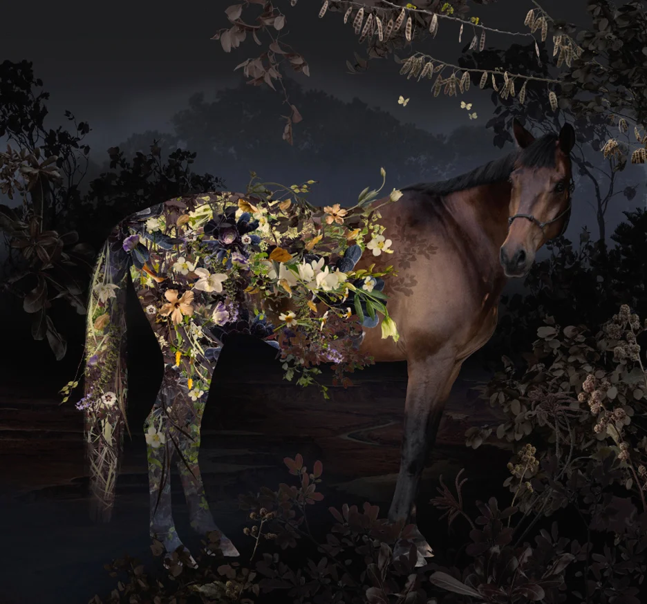 RENAISSANCE (2012)