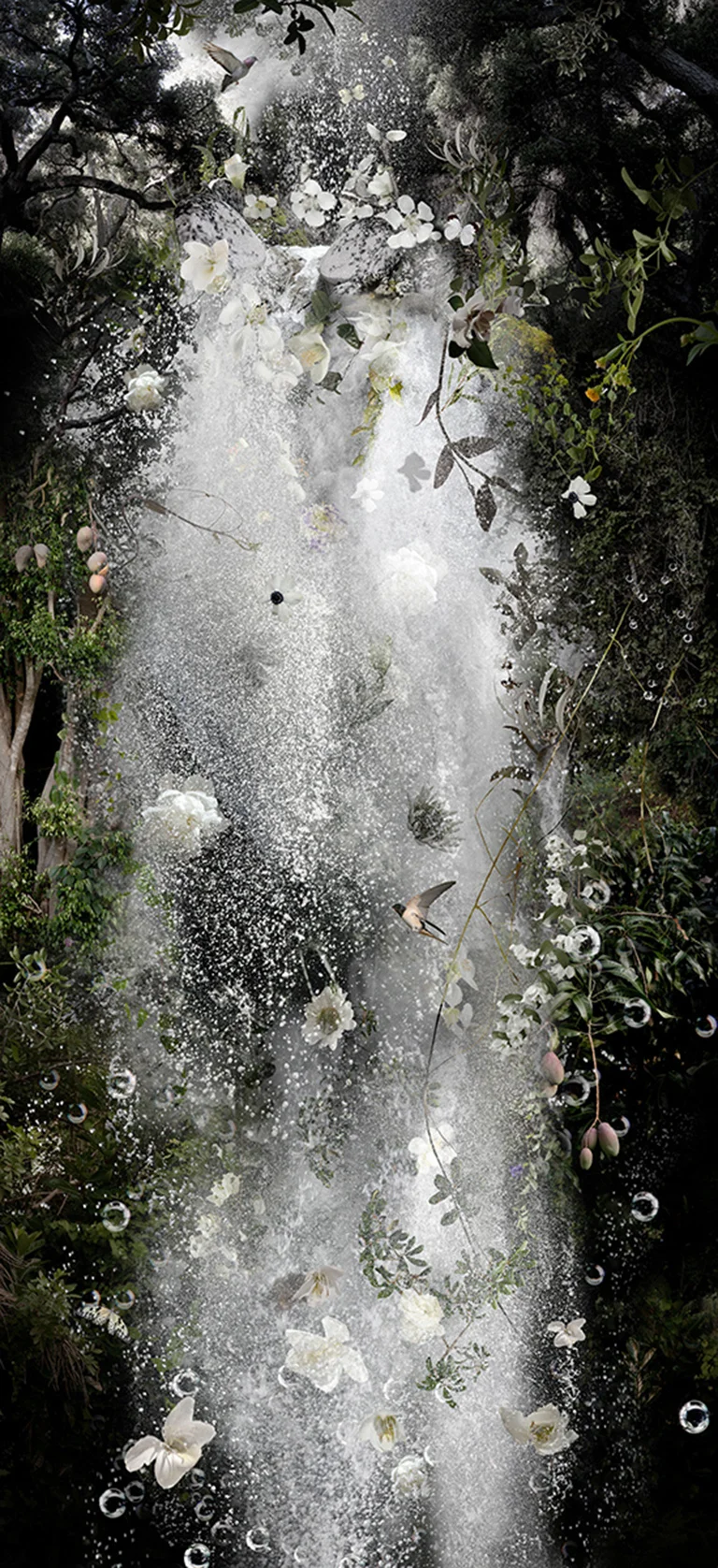 WHISPERS (2011)