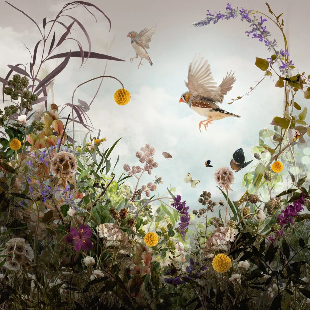 REPOSE (2013)