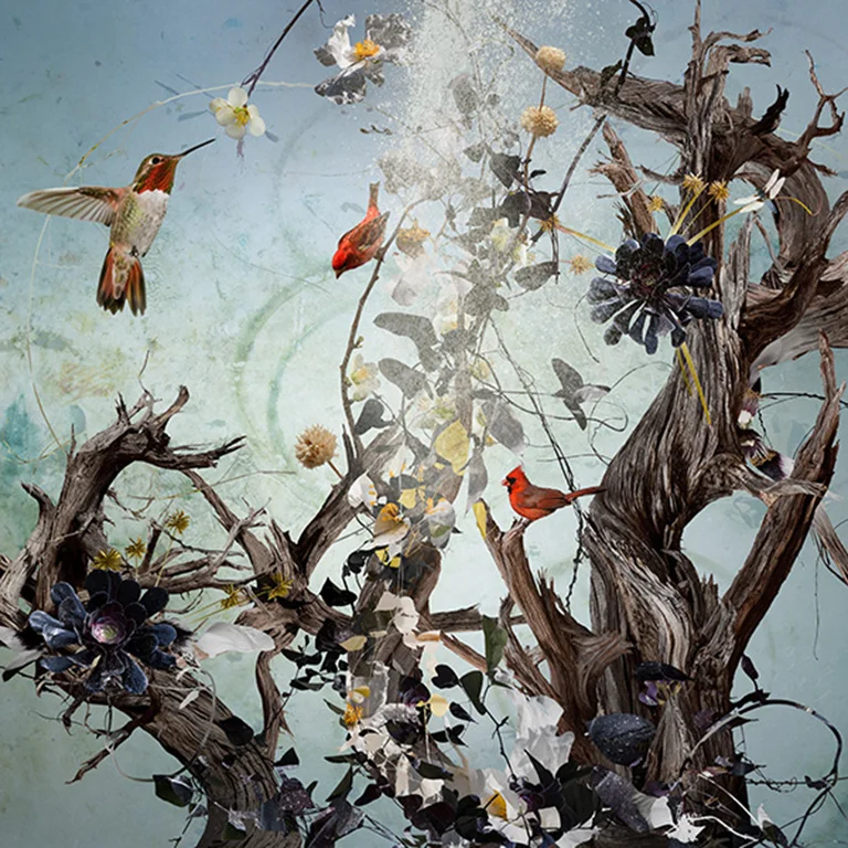 PASSING BY (2011)