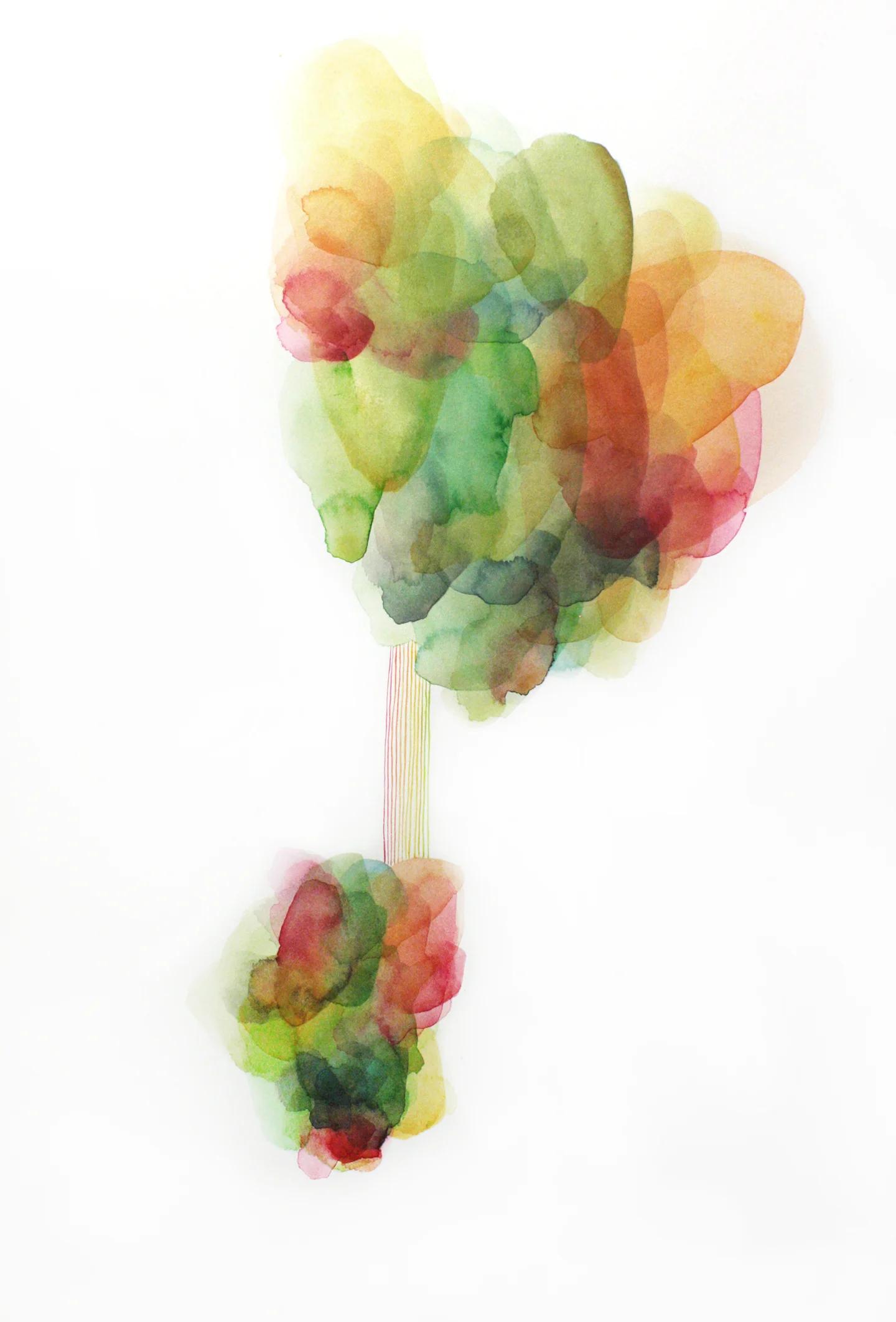 Jennifer McGregor watercolor