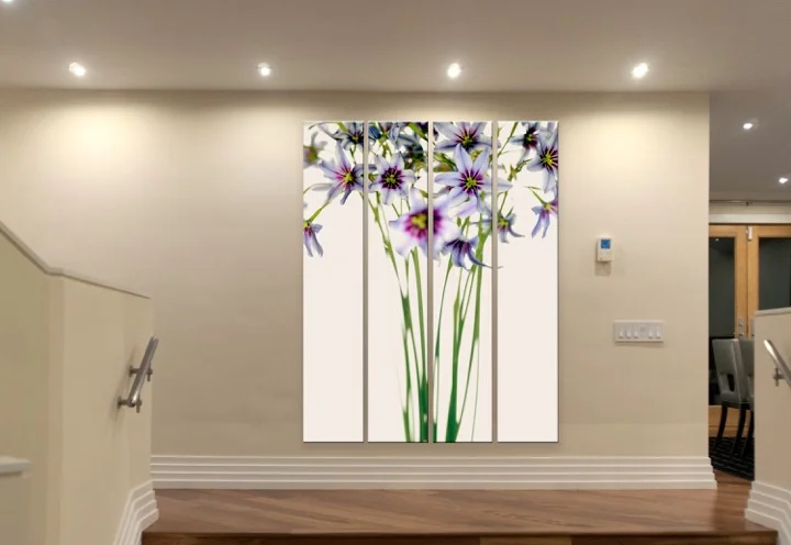 Clematites in 4 panels