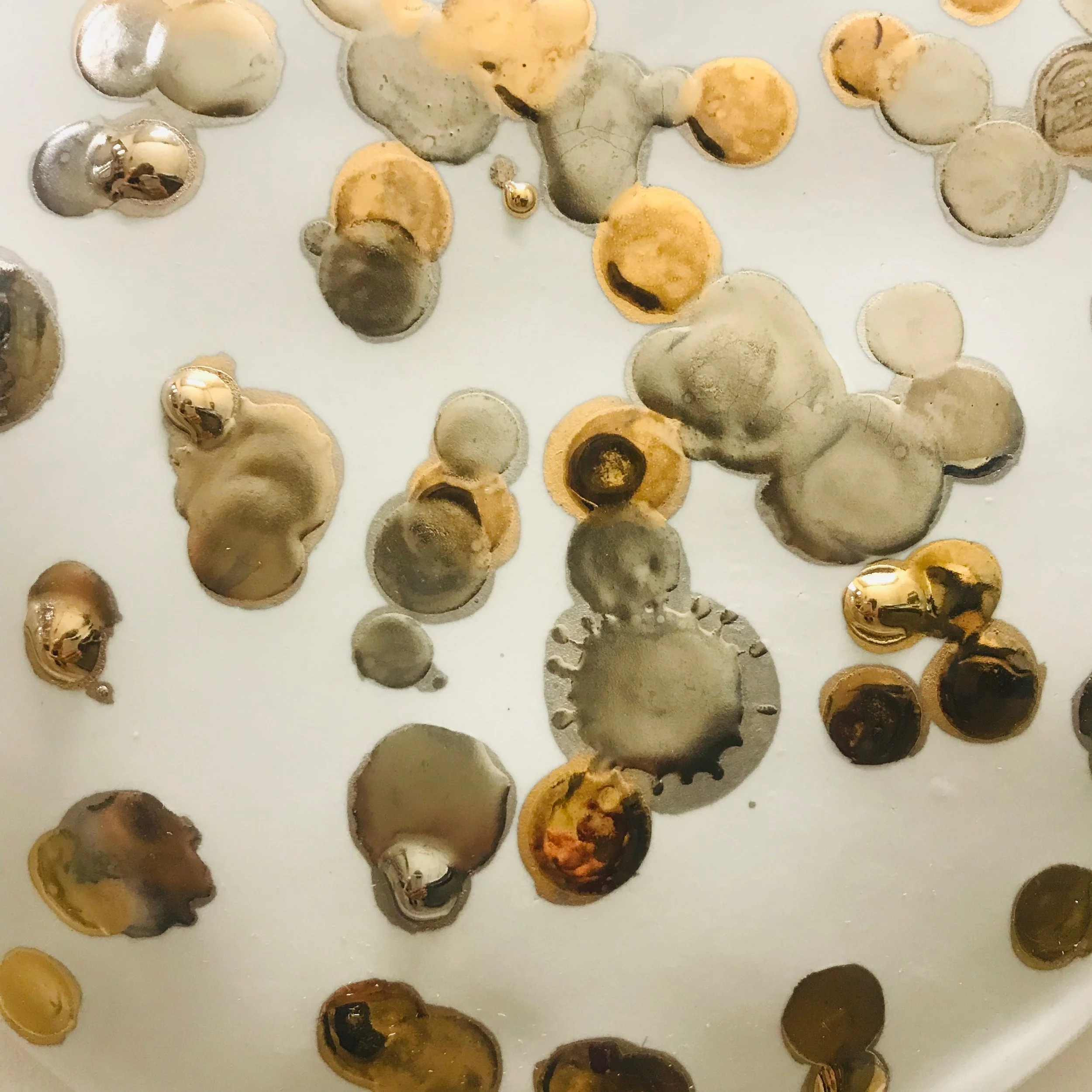 Michele Mariaud_Stepanka_dots silver and gold 4.jpeg