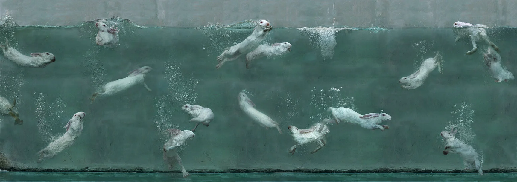 Aquarium 10 (2009)