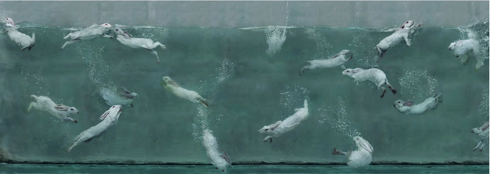 Aquarium 11 (2009)