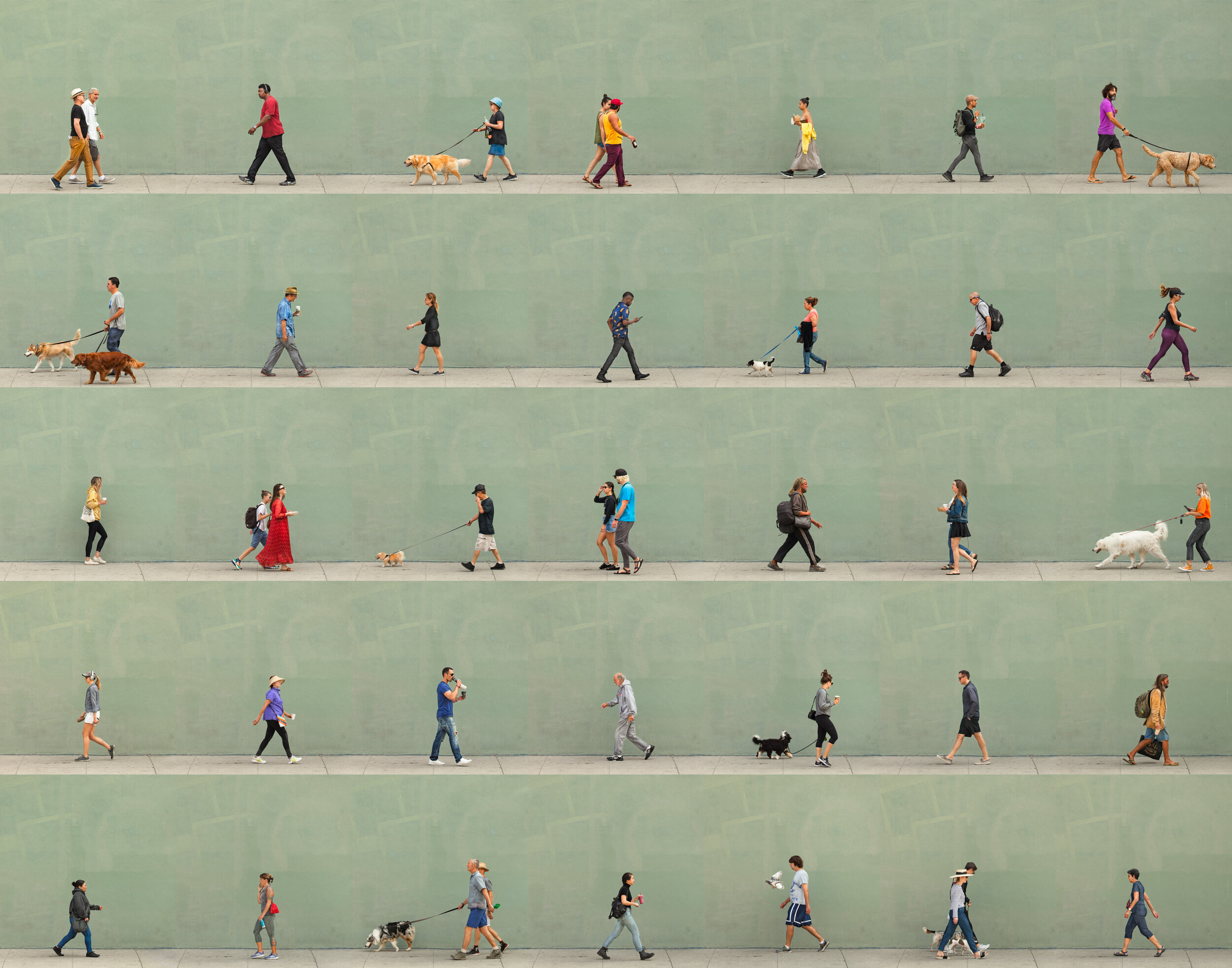 Time Lapse. Venice, California, 2019