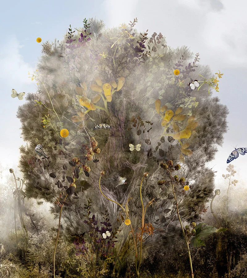 ARBORVITAE, 2012