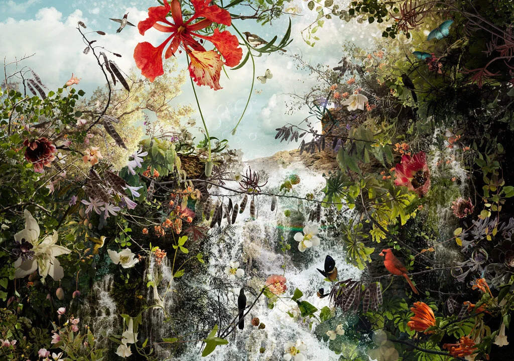 LIFE 1, 2014