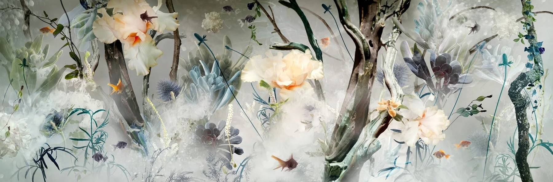 AQUANAUTE, 2013