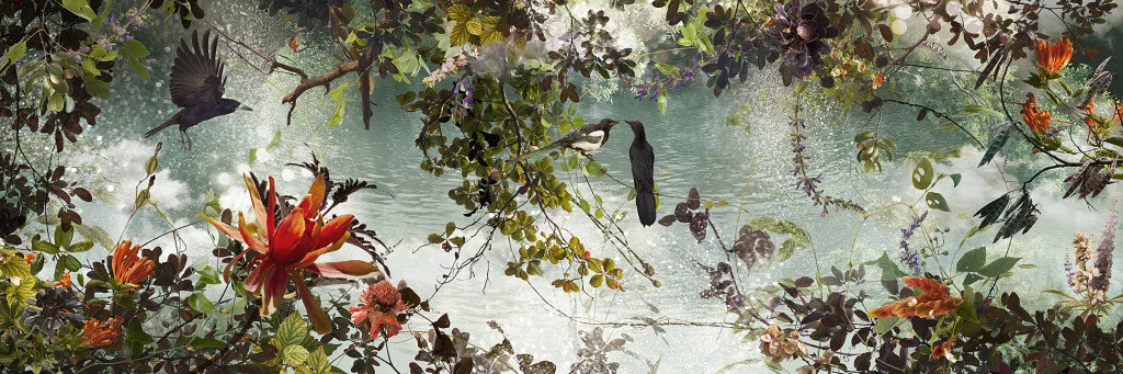 WANDER, 2014