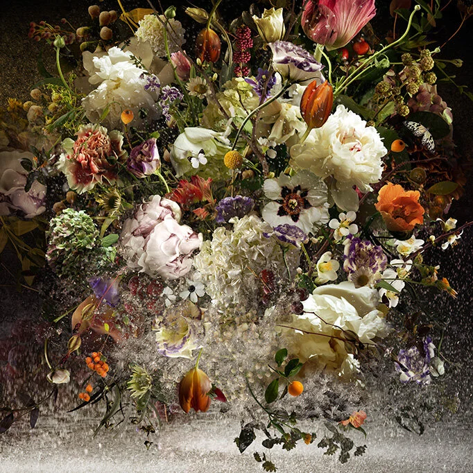 Metamorphose, 2011.  