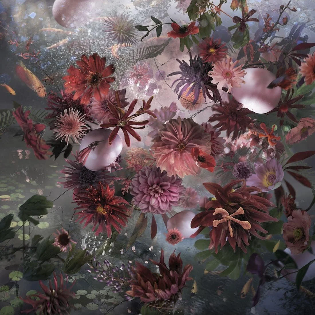 WISH.     2018