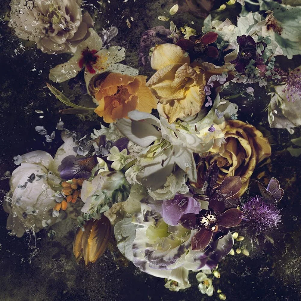 Oracular, 2017