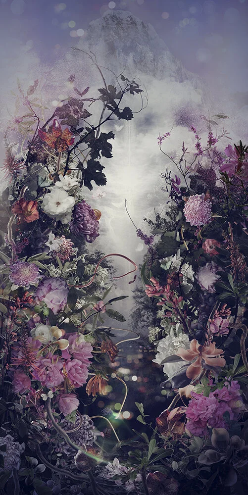 Naiad, 2017