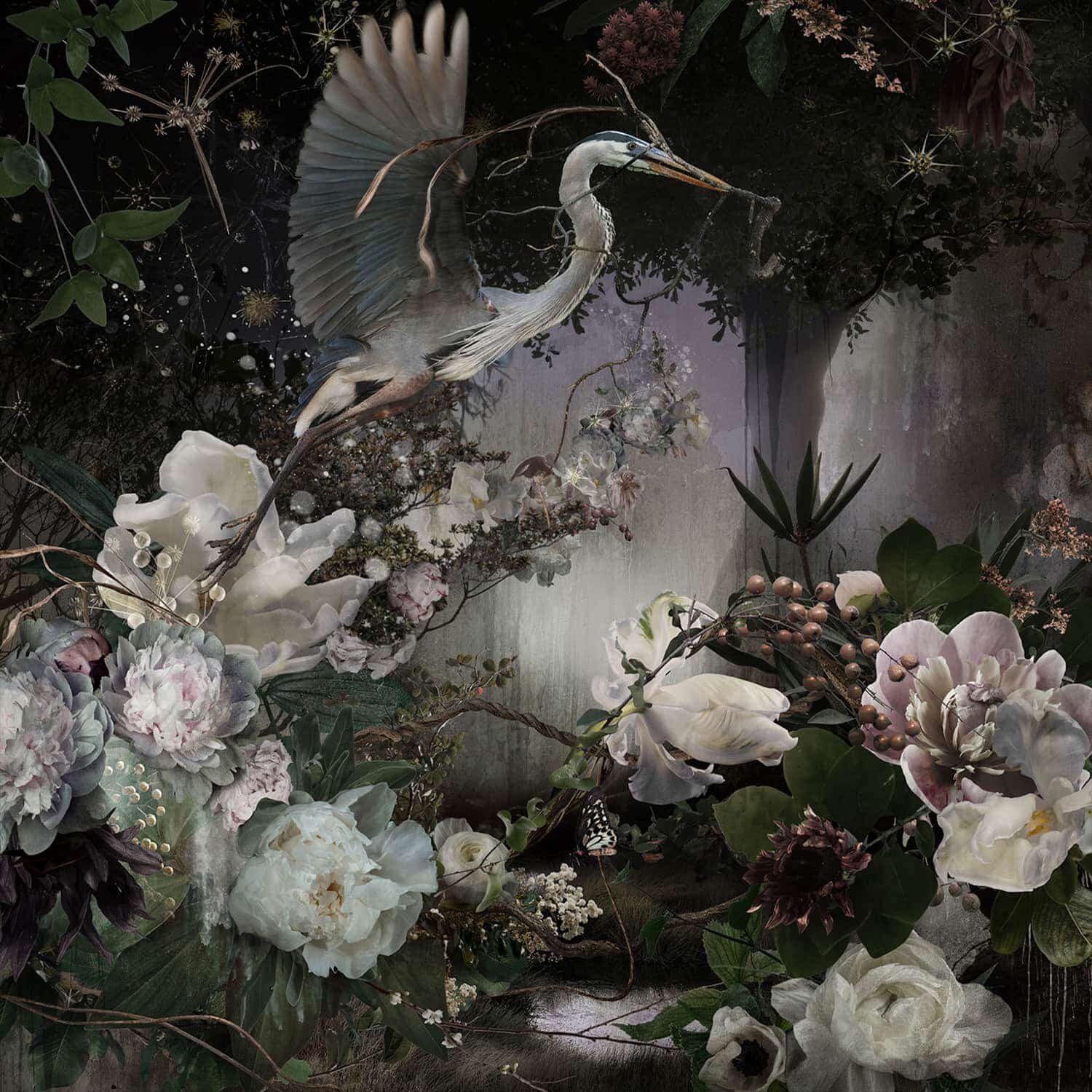 Eden 1, 2017