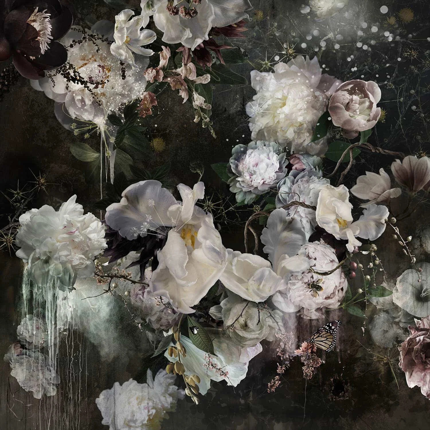 Eden 2, 2017