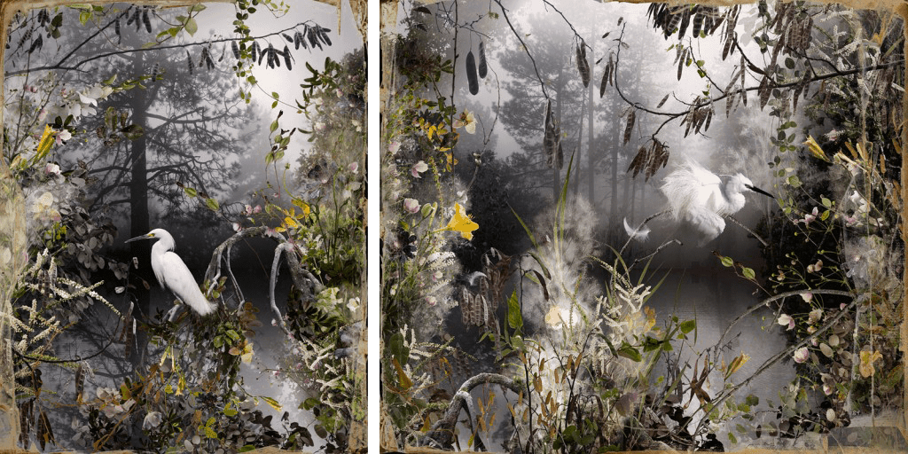 Les Naturalistes, 2012