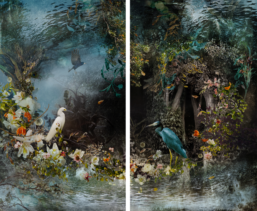 REFLECTION.   2014