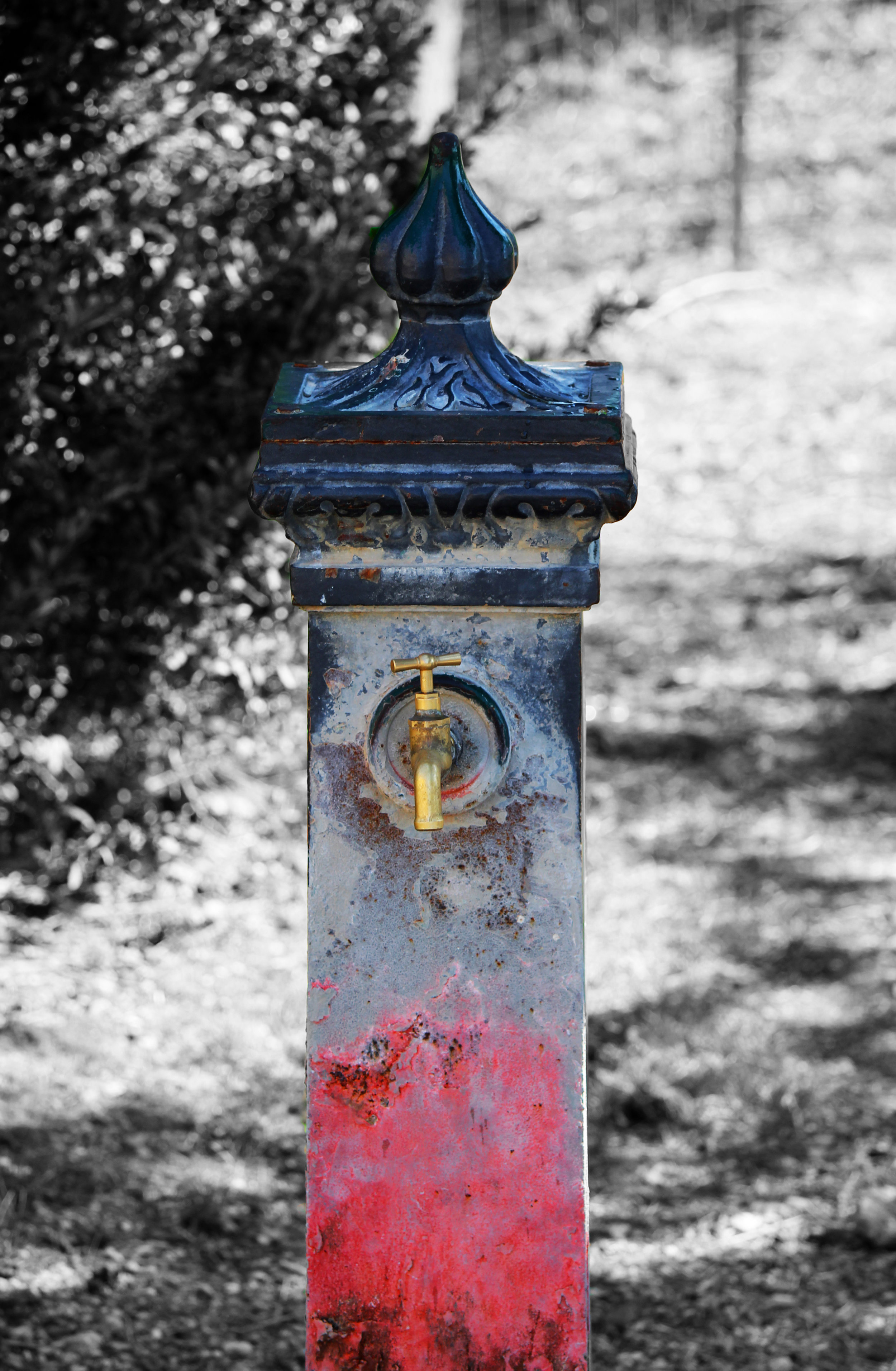 Editbw_IMG_5004.jpg