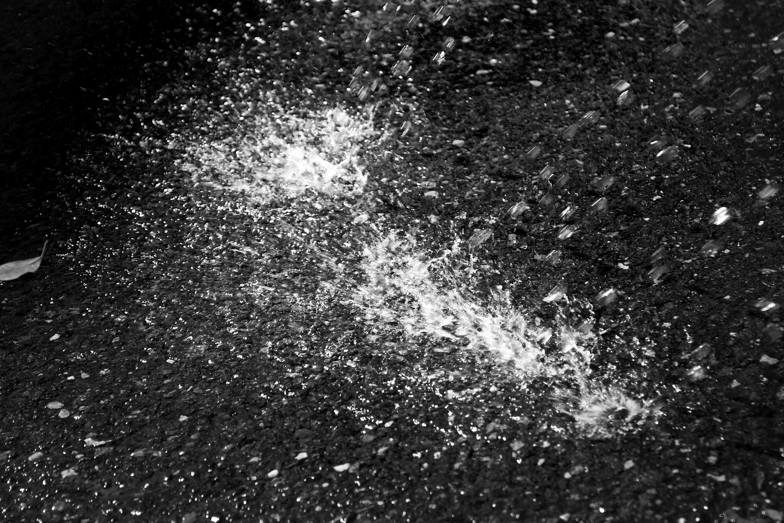 bwedit_IMG_3844.jpg