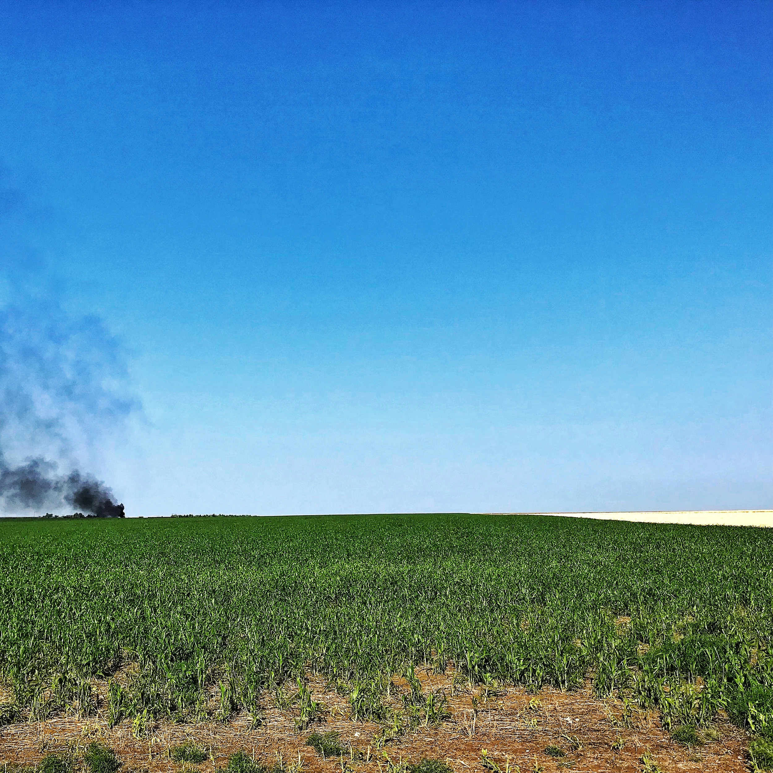 Saskatchewan20.jpg