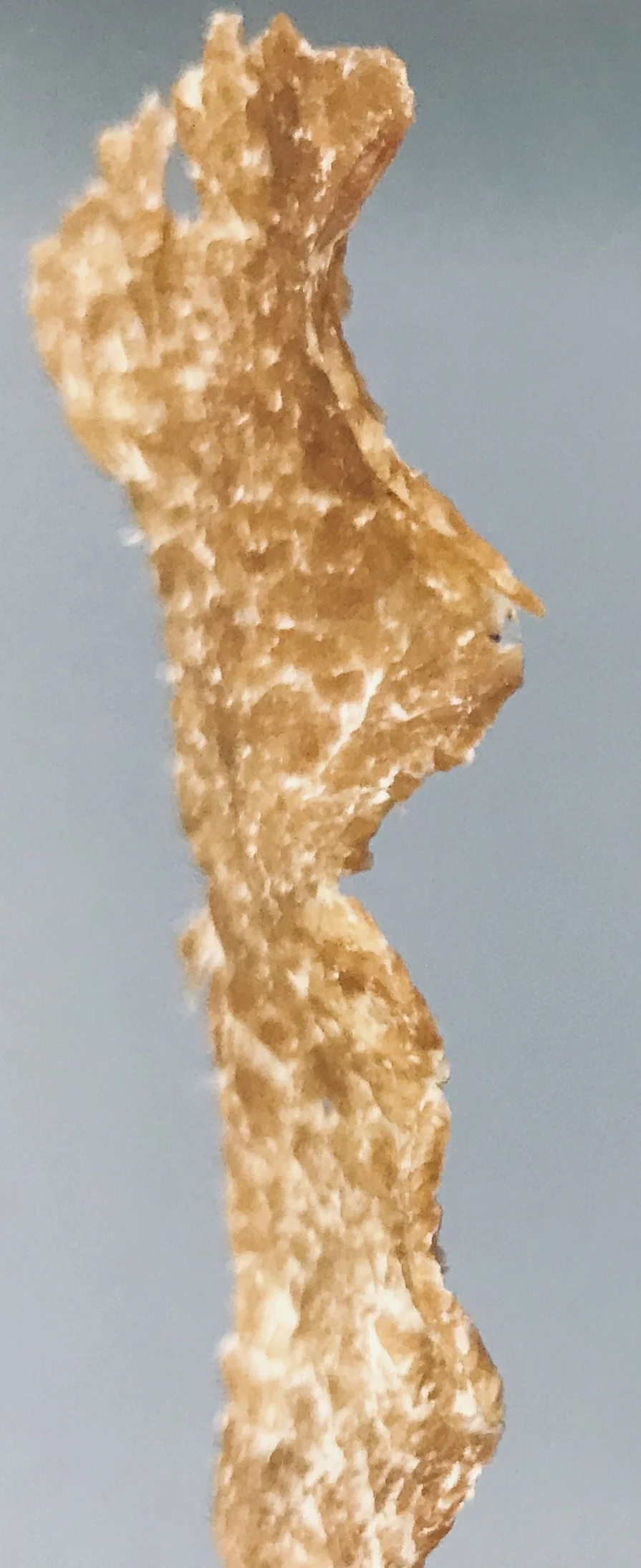 Kalua Chip.jpg