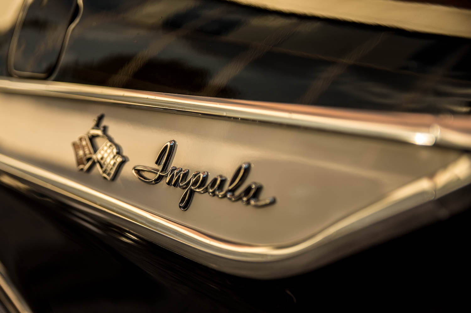 Cars-143.jpg