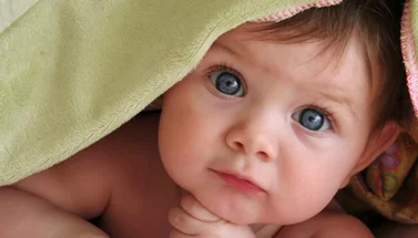 nurseryPic.jpg