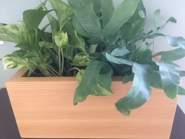 Niagara Carpenter Custom Build Reclaimed Wood Planter Box For Sale