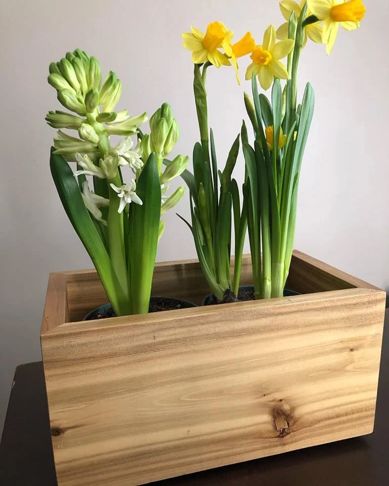 Niagara Carpenter Planter Box For Sale